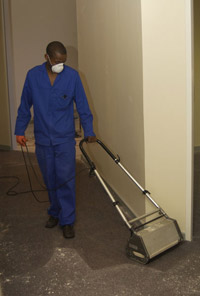 brushing the micro sponges into the carpet pile